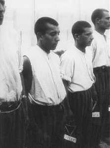 Détenus tsiganes Dachau 1938
